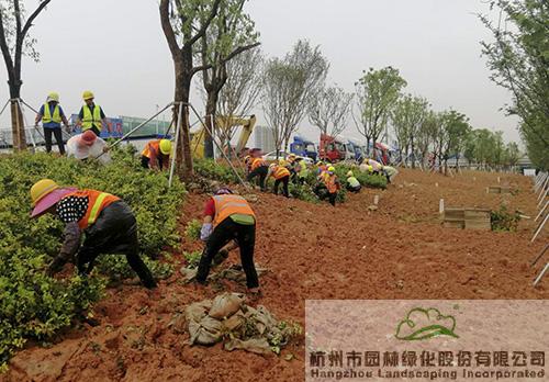 尊龙凯时人生就是搏(中国区)官方网站