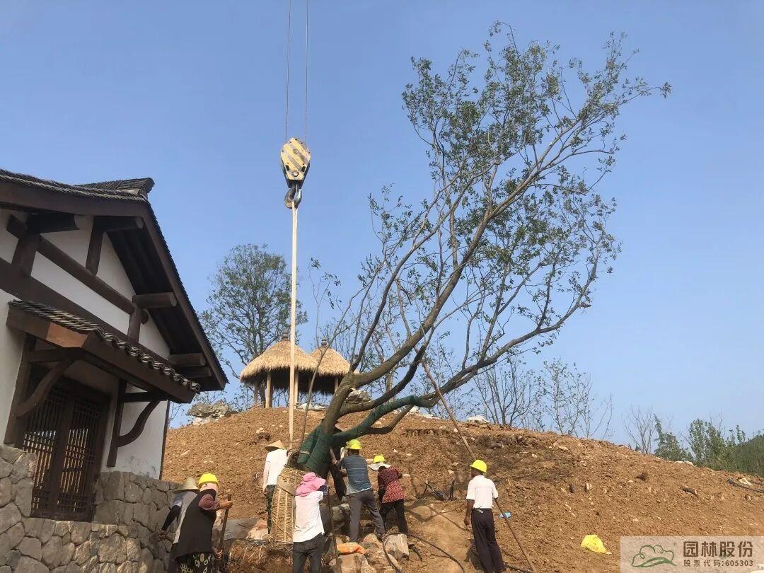 尊龙凯时人生就是搏(中国区)官方网站