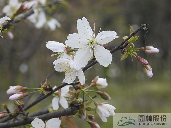 尊龙凯时人生就是搏(中国区)官方网站