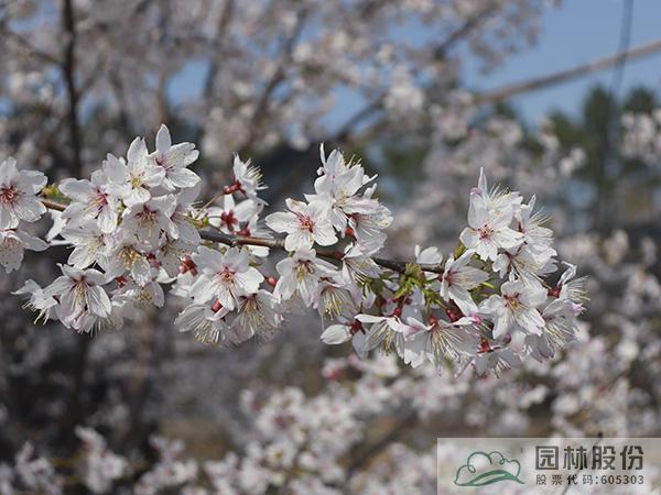 尊龙凯时人生就是搏(中国区)官方网站