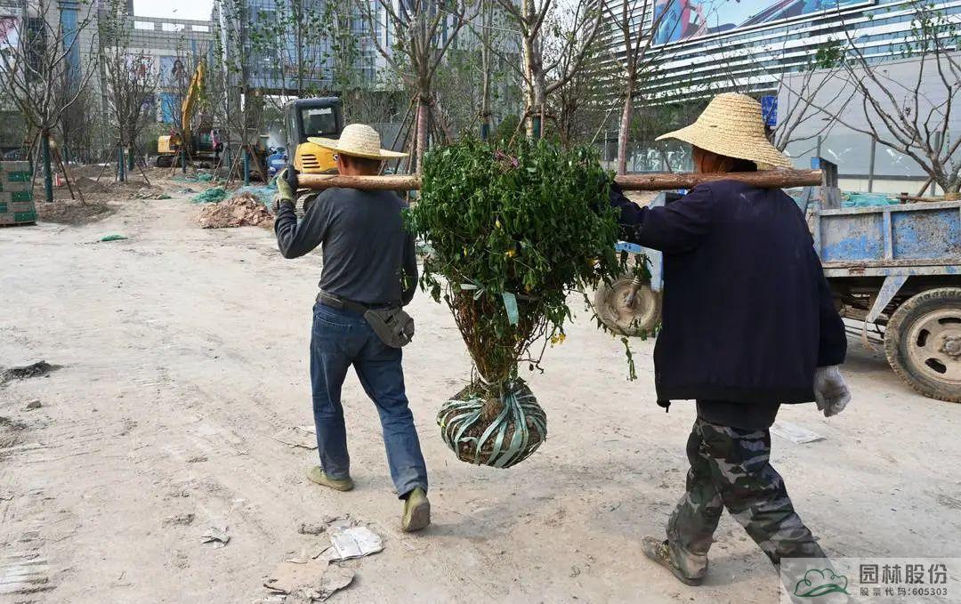 尊龙凯时人生就是搏(中国区)官方网站