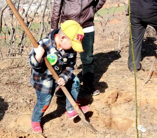 Bodog·(中国区)官方网站