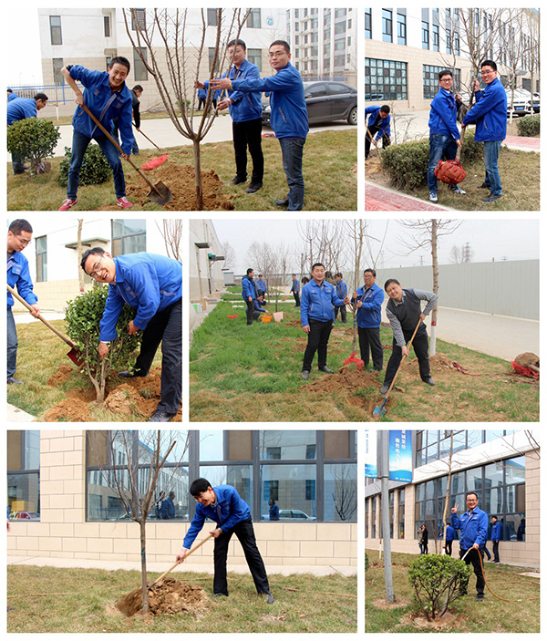 Bodog·(中国区)官方网站